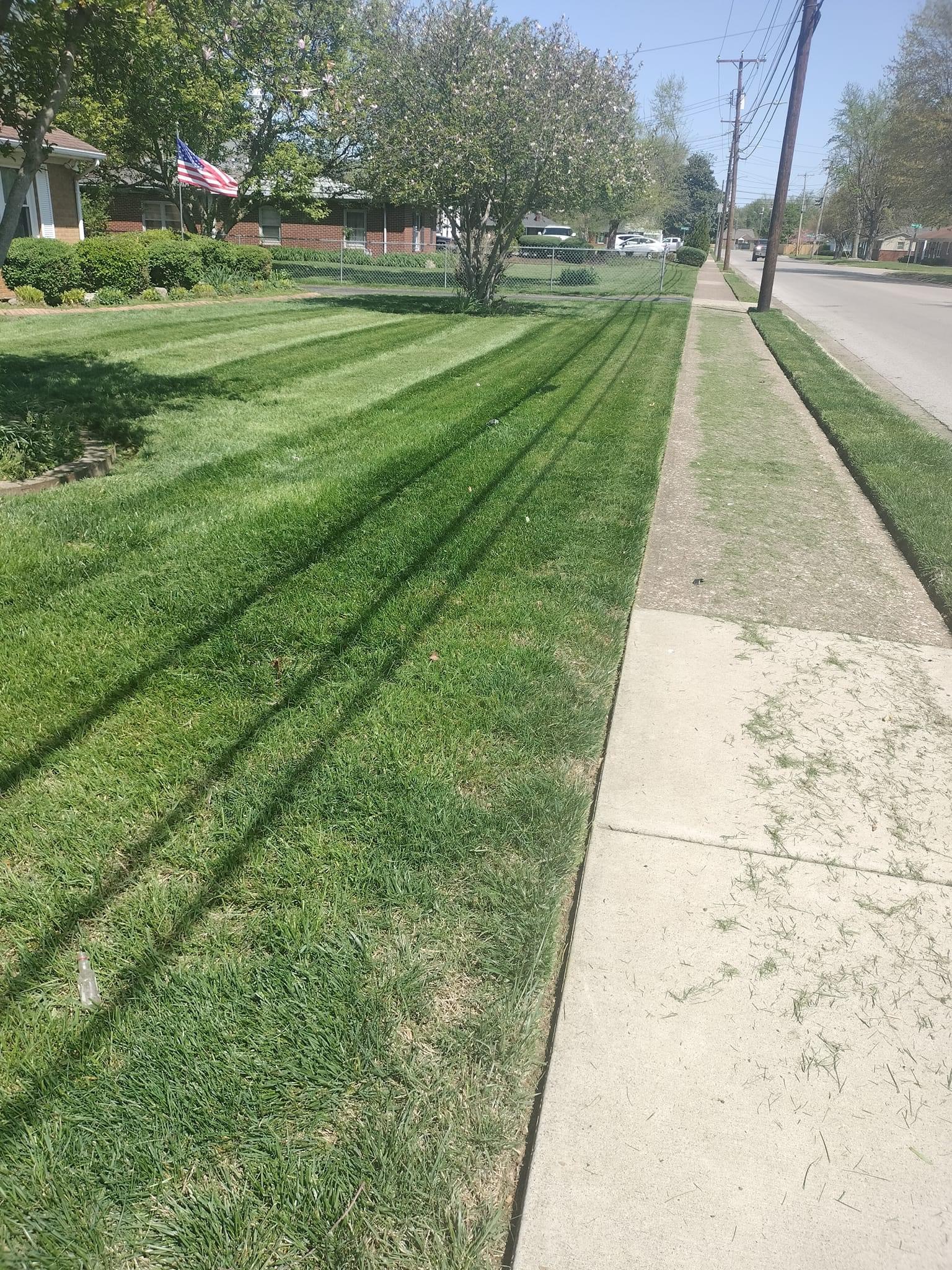 Professional lawn mowing results