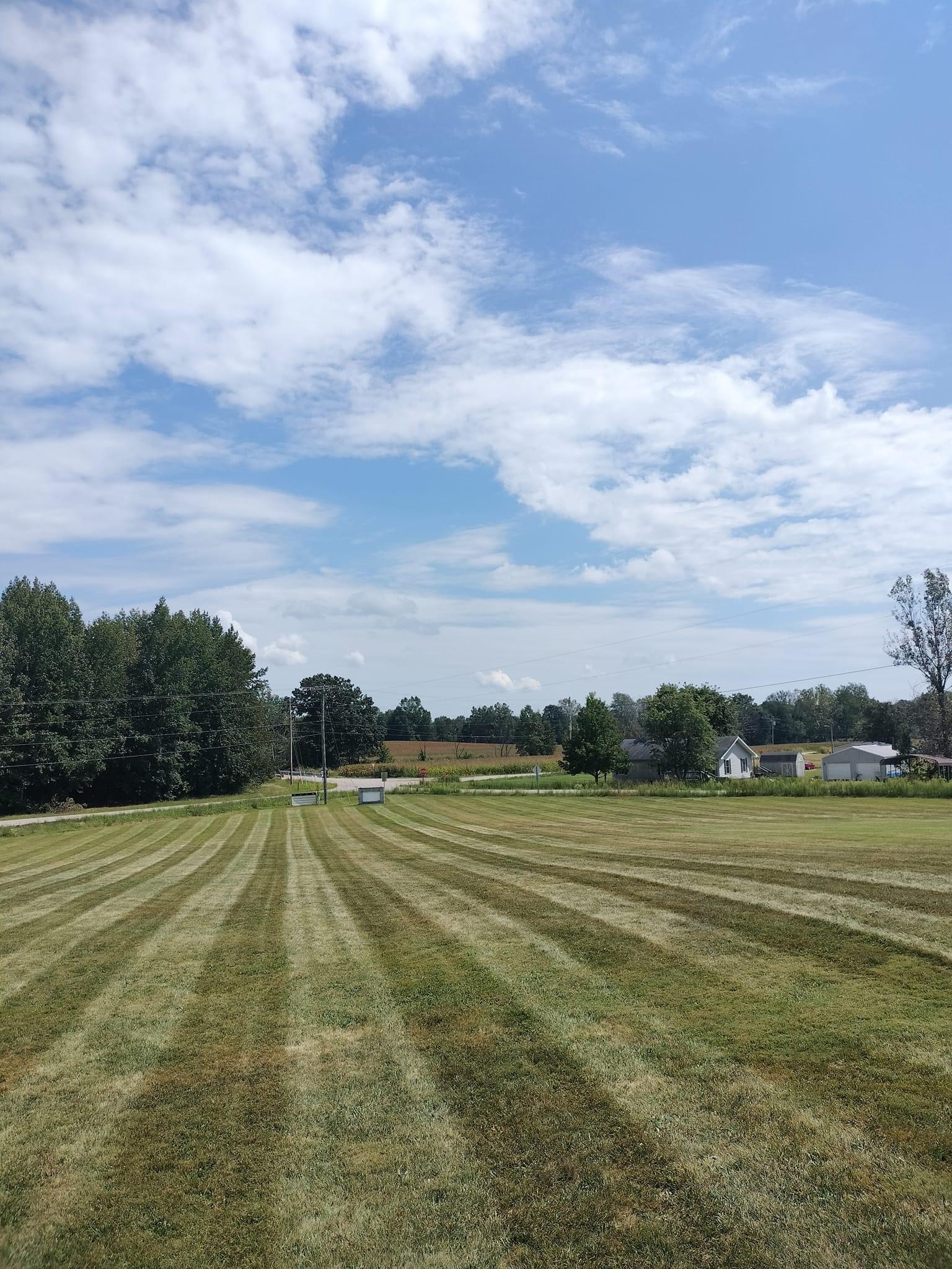 Lawn maintenance and cleanup