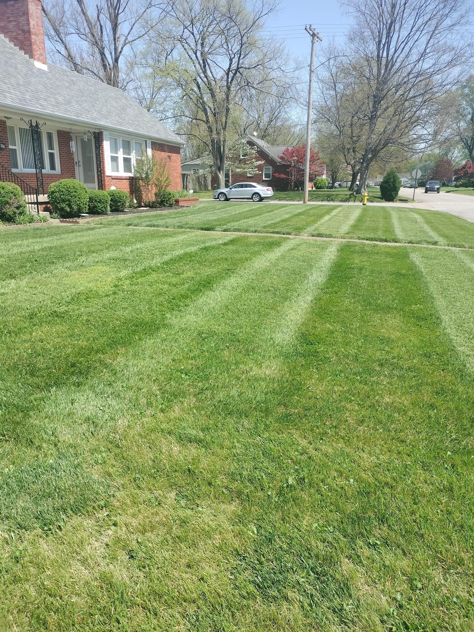 Lawn Care Project 6